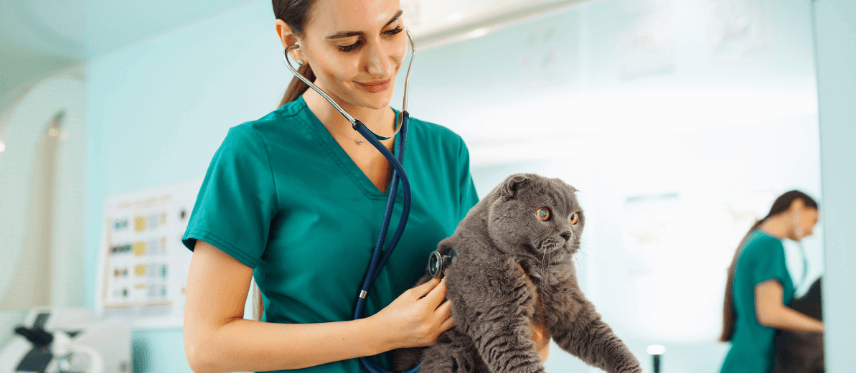 Centro veterinario Mr Vet campaña chequeo anual de salud