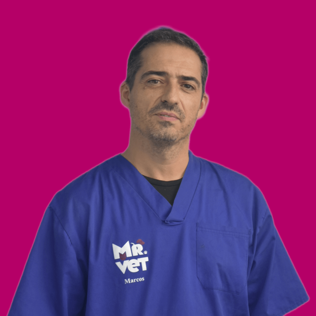Centro veterinario Mr Vet Marcos Ayuso