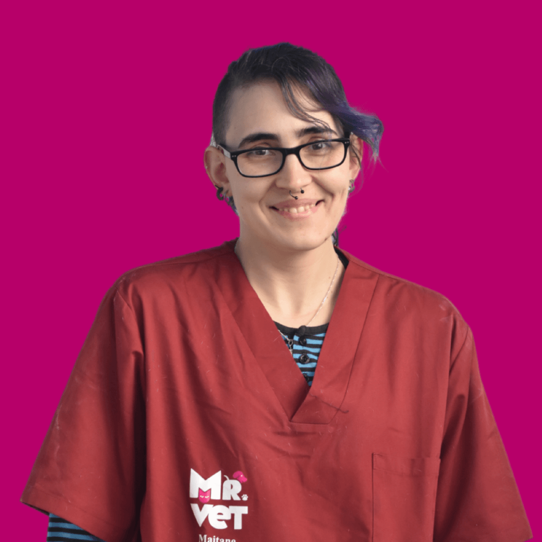 Centro veterinario Mr Vet Maitane Sarro