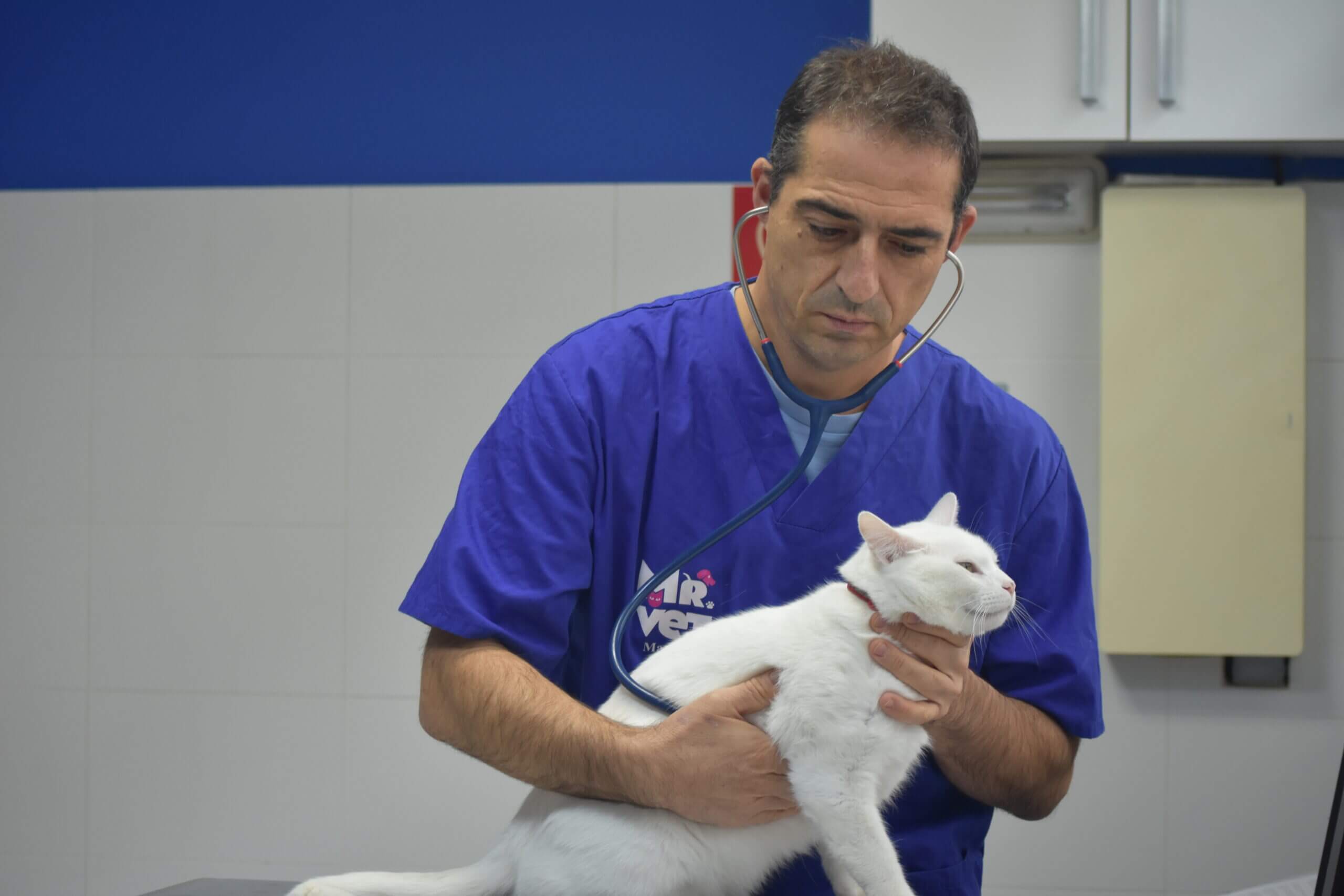 Centro veterinario Mr Vet conoce a nuestros profesionales