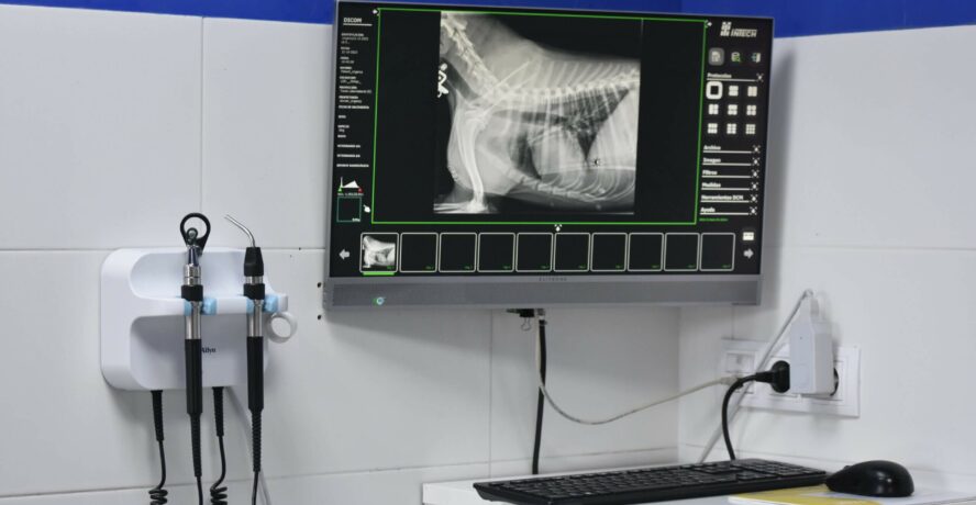 Clínica veterinaria Mr Vet servicio radiología digital