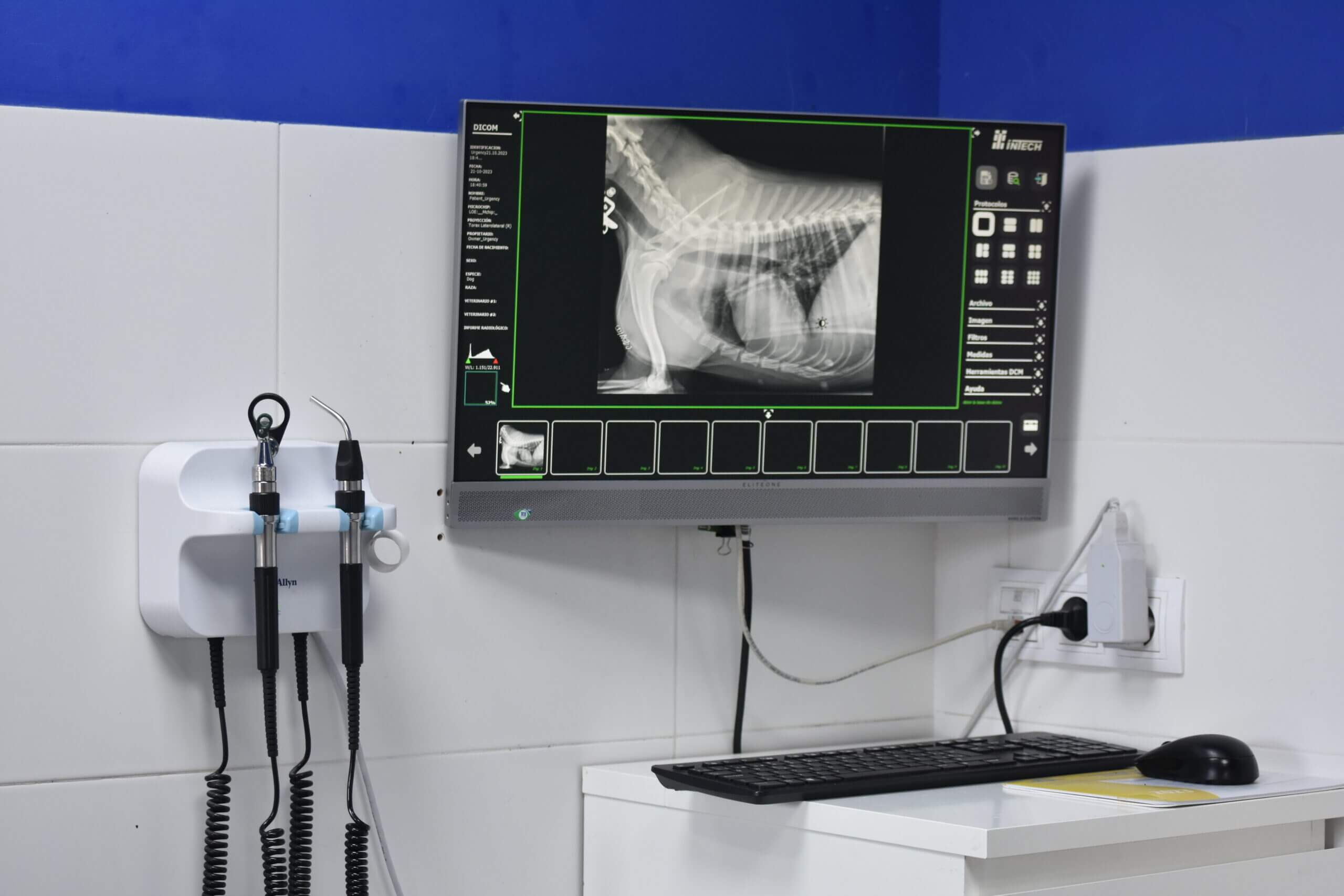 Clínica veterinaria Mr Vet servicio radiología digital